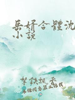 岳婿合体沈绝的小说