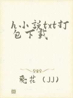 h小说txt打包下载