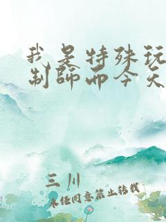 我是特殊玩具定制师而今天的客户