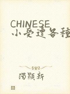 CHINESE小受遭各种打桩