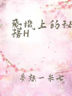 飞机上的秘密服务H