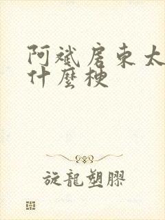 阿斌房东太太是什么梗