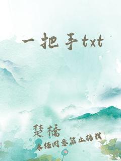 一把手txt
