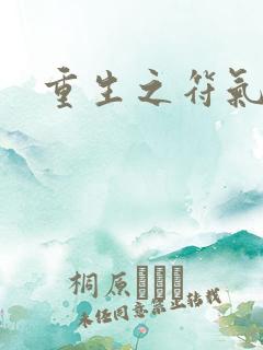 重生之符气冲天