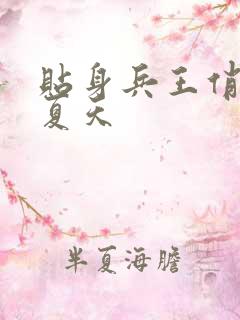 贴身兵王俏总裁夏天