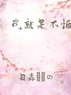 我就是不怕小说