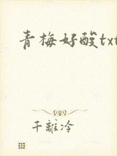青梅好酸txt