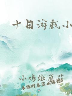 十日游戏小说