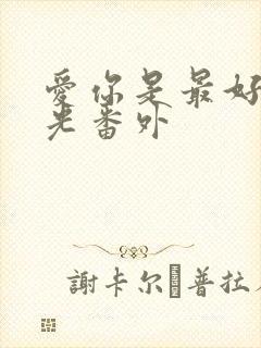 爱你是最好的时光番外