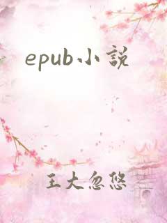 epub小说
