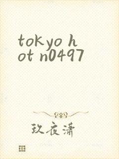 tokyo hot n0497