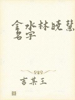 金水林晓慧小说名字