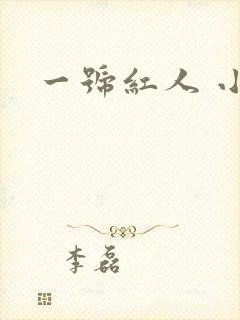 一号红人 小说
