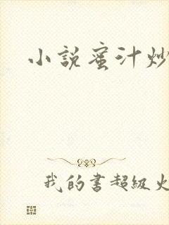 小说蜜汁炒鱿鱼