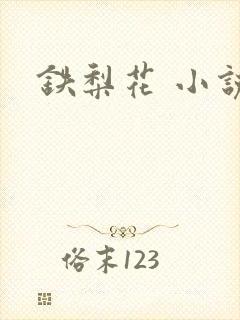铁梨花 小说