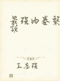 最强内卷系统小说