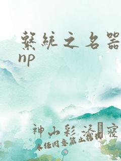 系统之名器攻略np