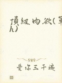 顶级肉欲(军高h)