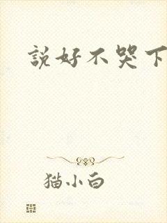 说好不哭下载