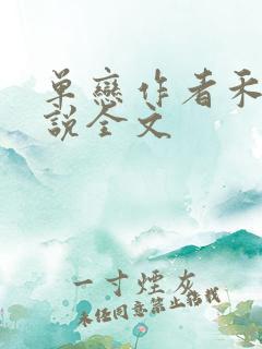 单恋作者禾满小说全文