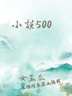 小说500