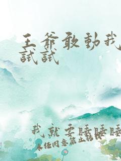 王爷敢动我妈咪试试