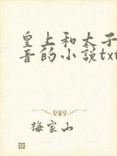 皇上和太子妃沈音的小说txt