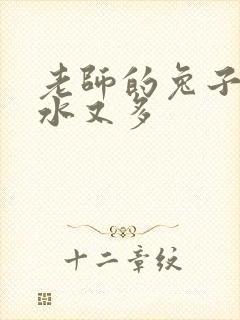 老师的兔子又软水又多