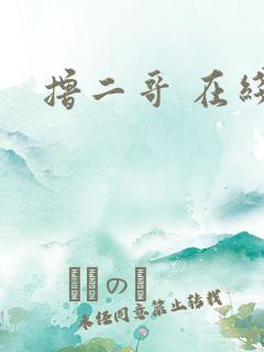 撸二哥 在线