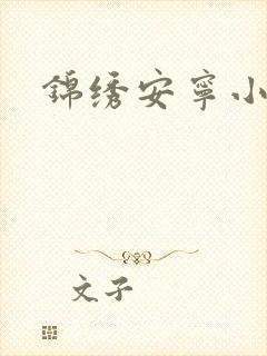 锦绣安宁小说
