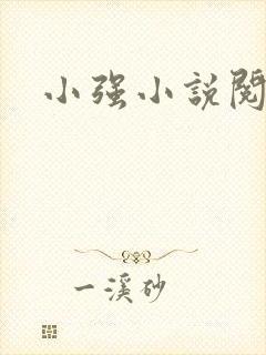小强小说阅读网