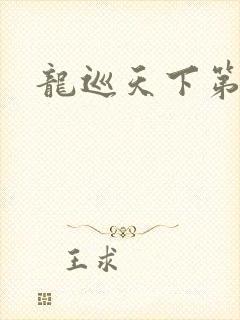 龙巡天下第四部