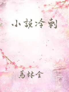 小说冷刺