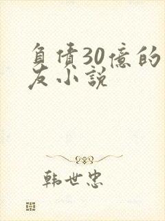 负债30亿的男友小说