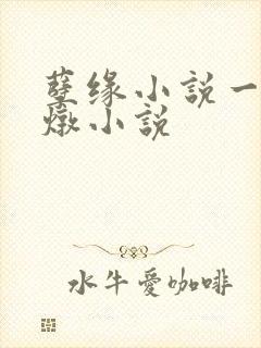 孽缘小说一家乱炖小说