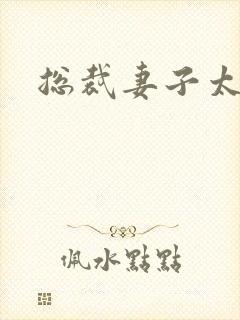 总裁妻子太诱人