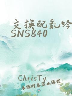 交换配乱吟粗大SNS840