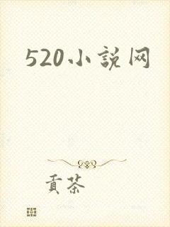 520小说网
