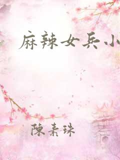 麻辣女兵小说版