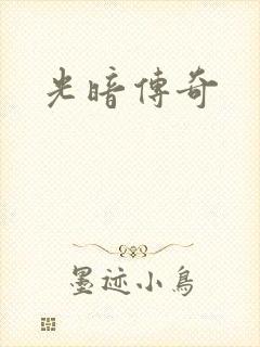 光暗传奇