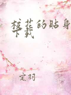 校花的贴身保镖下载