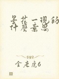 昙花一现的现是什么意思