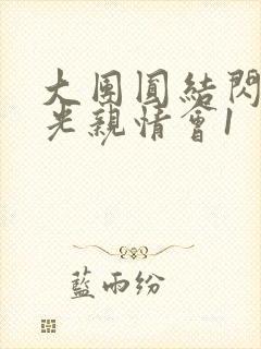 大团圆结闪闪发光亲情会1