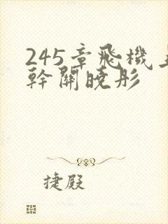 245章飞机上干关晓彤