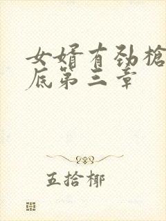 女婿有劲枪枪到底第三章