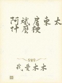 阿斌房东太太是什么梗