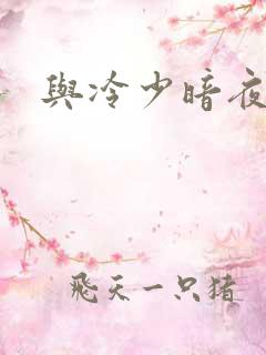 与冷少暗夜孽爱