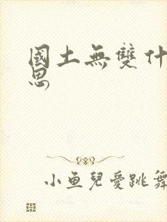 国土无双什么意思