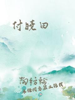 付晓田