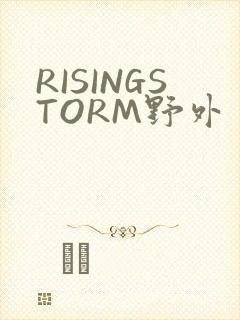 RISINGSTORM野外